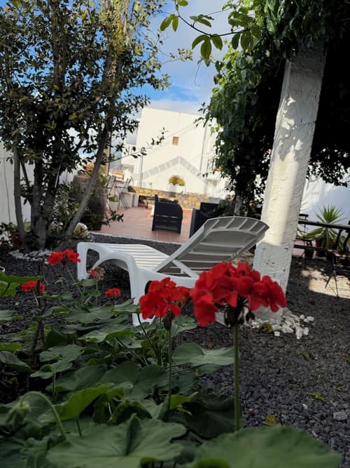 Geko Hotels, Terrace/patio