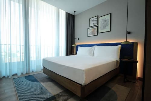 Hilton Garden Inn Ankara Cankaya, Room
