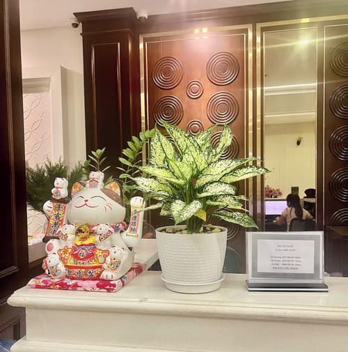 Ivy Luxury Hotel & Apartment, Reception