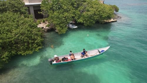 Eco Hotel bosque encantado