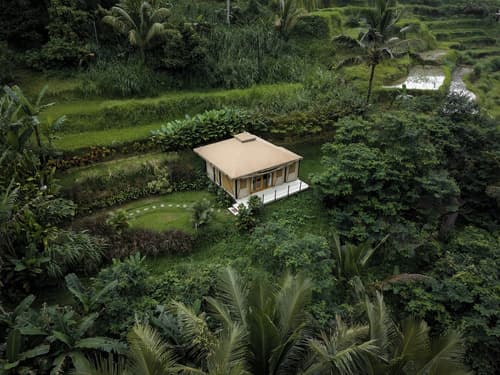 Nadi Nature Resort - Adults Only, Room