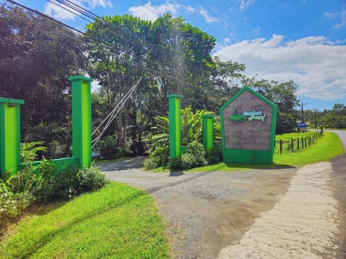 Confort Arenal, Reception