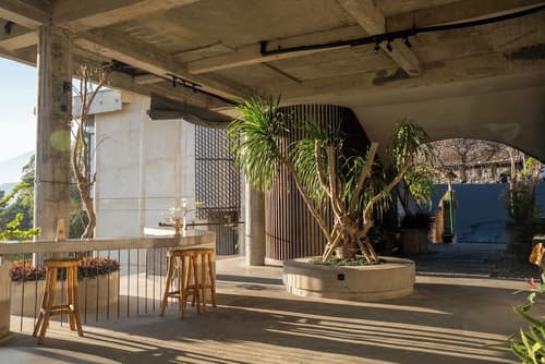 Desa Oculus, Reception