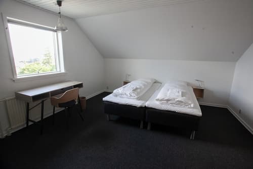 The Bird / Guesthouse / 10 Min Walk Downtown