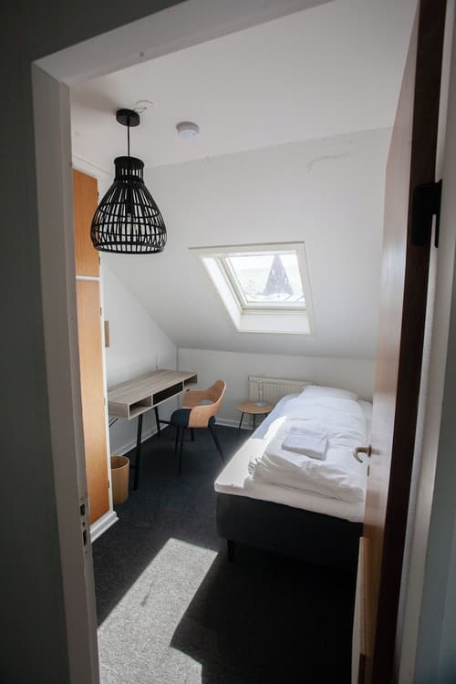 The Bird / Guesthouse / 10 Min Walk Downtown