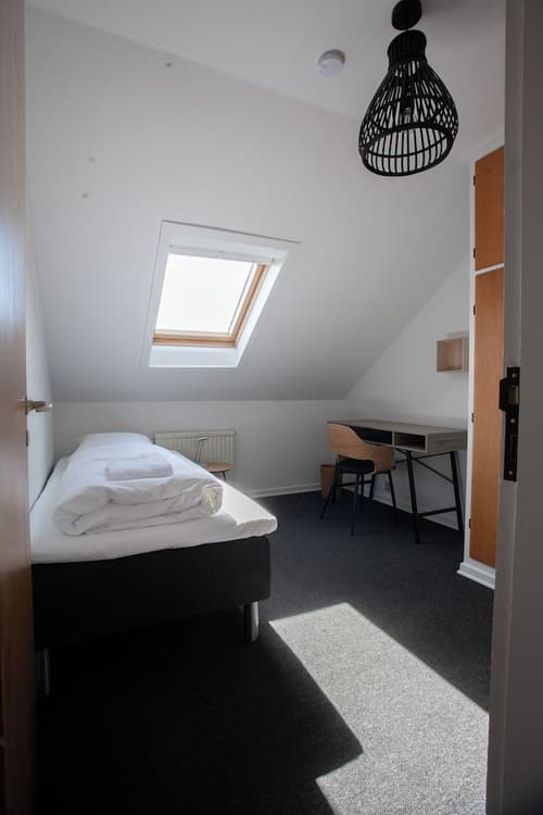 The Bird / Guesthouse / 10 Min Walk Downtown