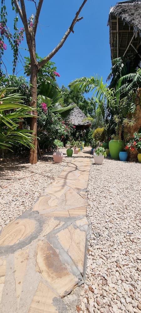 Salama & Mbuyuni Bungalows, Reception