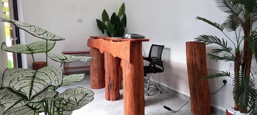 Didas Villa, Reception