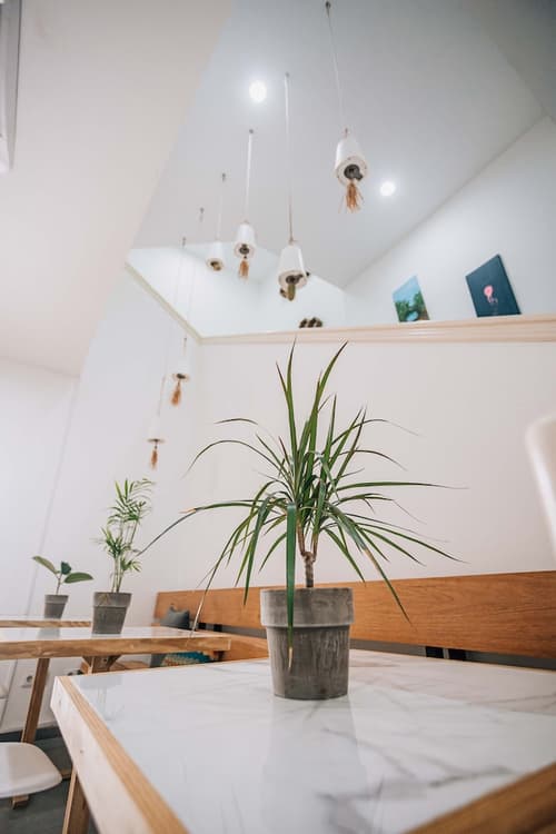 Art Hotel, Lobby sitting area