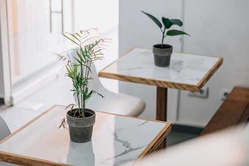 Art Hotel, Lobby sitting area