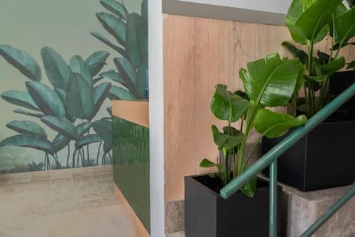 Succeed Campo Pequeno Suites