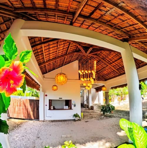 Divers Lodge Plumeria, Reception