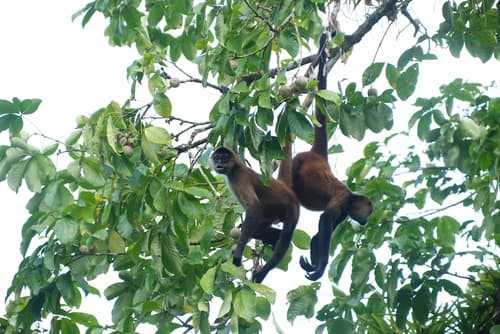 Iguanitas Lodge, Hiking