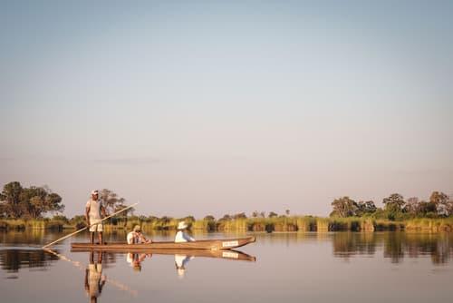 Cha Cha Metsi, Primary image