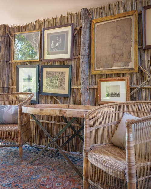 Cha Cha Metsi, Reception