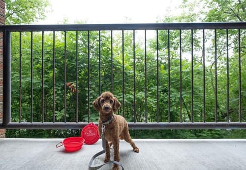 Ramada by Wyndham Ottawa On The Rideau, 