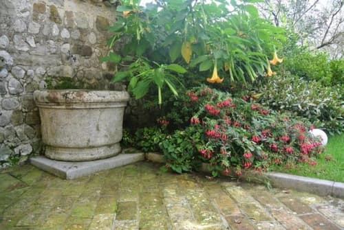 Villa Domus Magna
