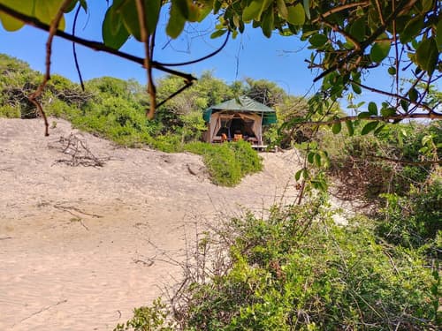 Back Of Beyond Dune Camp - Yala, 