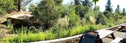 Blue Mountain Rv Park, 