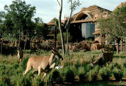 Disney's Animal Kingdom Lodge, Exterior View