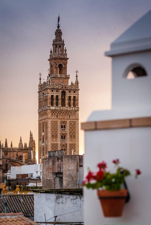 Murillo