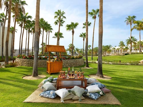 PARADISUS LOS CABOS-Adults Only