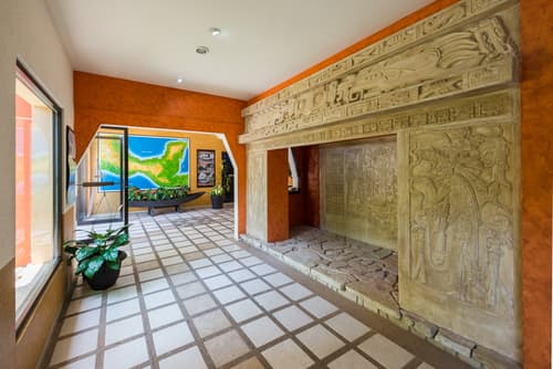 Maya Tulipanes