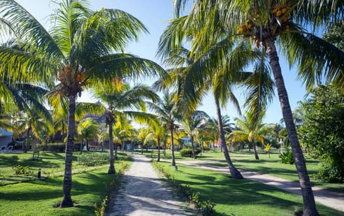 Royalton Hicacos Adults Only All Inclusive +18, General view