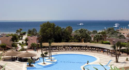 Paradise Abu Soma