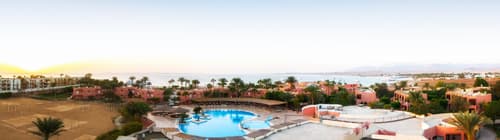 Paradise Abu Soma