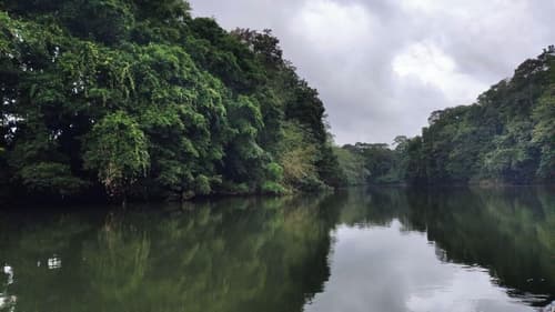 Hotel Gran Gavilan Del Sarapiqui