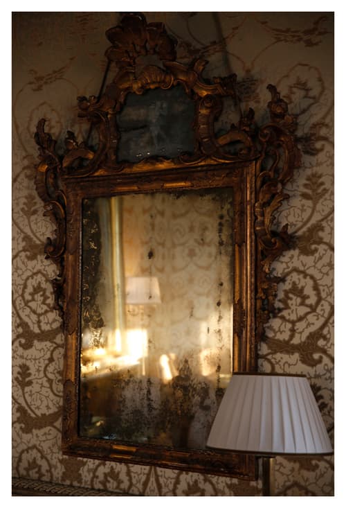 Bauer Palazzo
