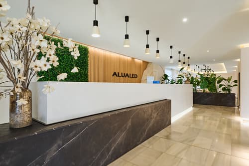 Alua Leo