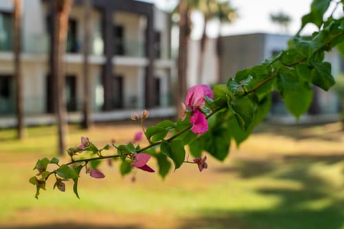 HillStone  Bodrum Hotel & SPA