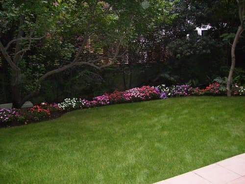 Eurotel El Bosque, Terrace