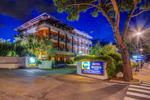 Hotel Oliveto, General view