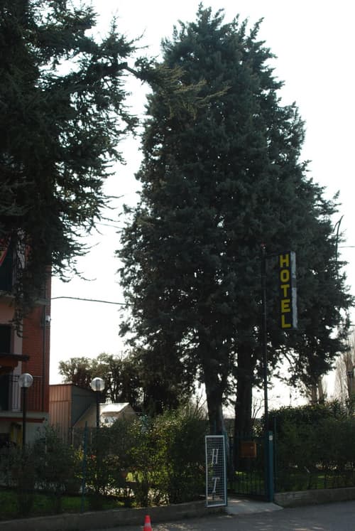 Hotel Tuscolano, General view