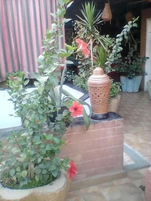 Happy Land Luxor, General view