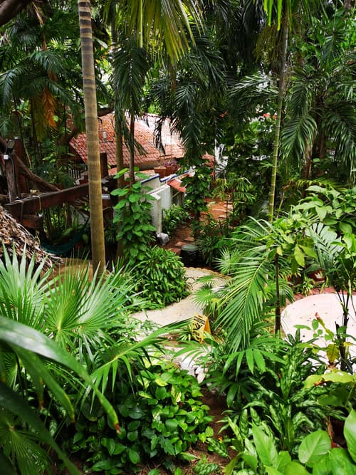 Eco-hotel El Rey Del Caribe, General view