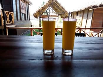 Bungalows Des Tropiques, 