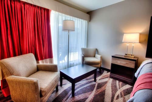 The Beaucatcher, A Boutique Motel