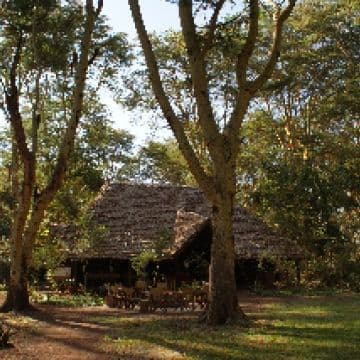 Migunga Tented Camp - Lake Manyara
