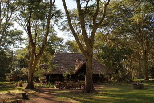 Migunga Tented Camp - Lake Manyara