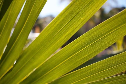 B.w Fairway Motor Inn, 