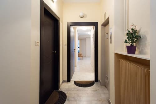 Blue Ark Elegant Athens