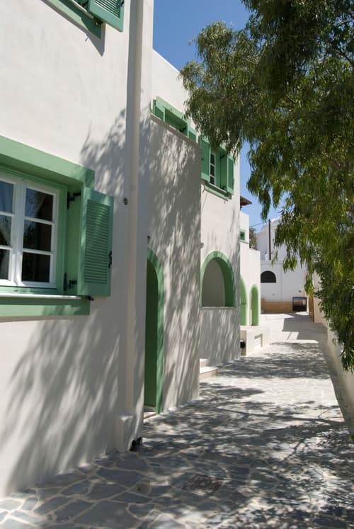 Naxos Olive & Home