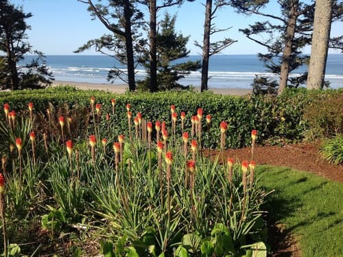 Tyee Lodge Oceanfront B&b