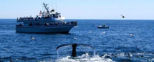 Isaiah Jones Homestead Bed & Breakfast