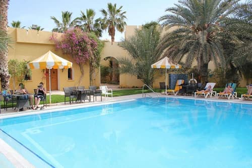 Sun Palm
