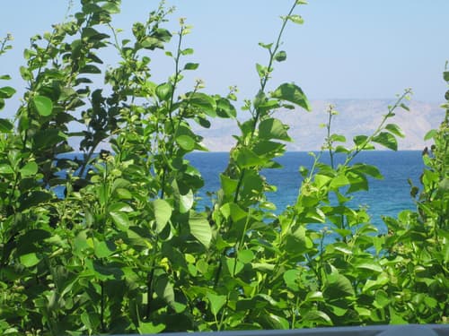 Psathi Beach
